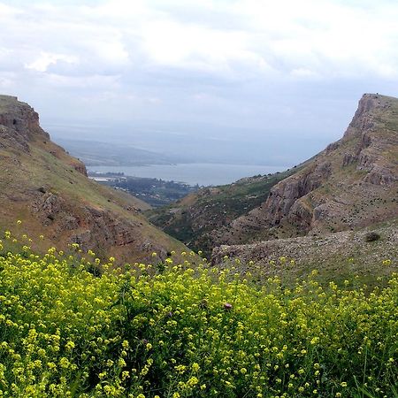 Arbel Holiday Homes Eksteriør billede